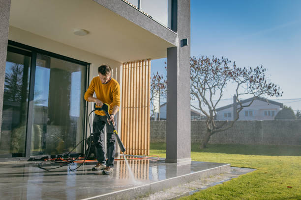 Best Sidewalk and Walkway Cleaning  in Palmdale, CA